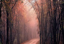 少女足球选手热爱运动,健康快乐成长