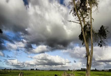 东莞男篮客场告捷，成功打破客场魔咒