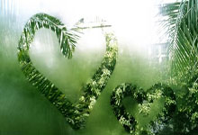 少女足球选手热爱运动，健康快乐成长