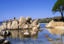 东莞男篮客场告捷,成功打破客场魔咒