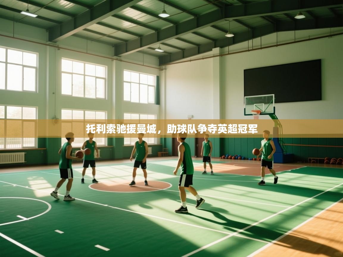 托利索驰援曼城，助球队争夺英超冠军  第2张