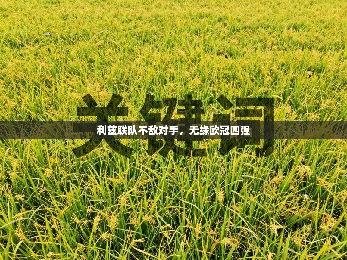 利兹联队不敌对手，无缘欧冠四强