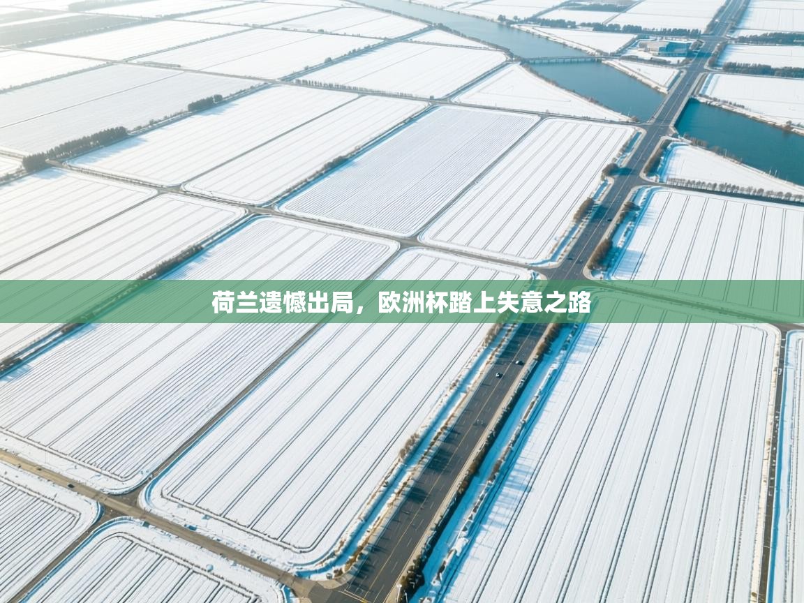 荷兰遗憾出局，欧洲杯踏上失意之路  第2张