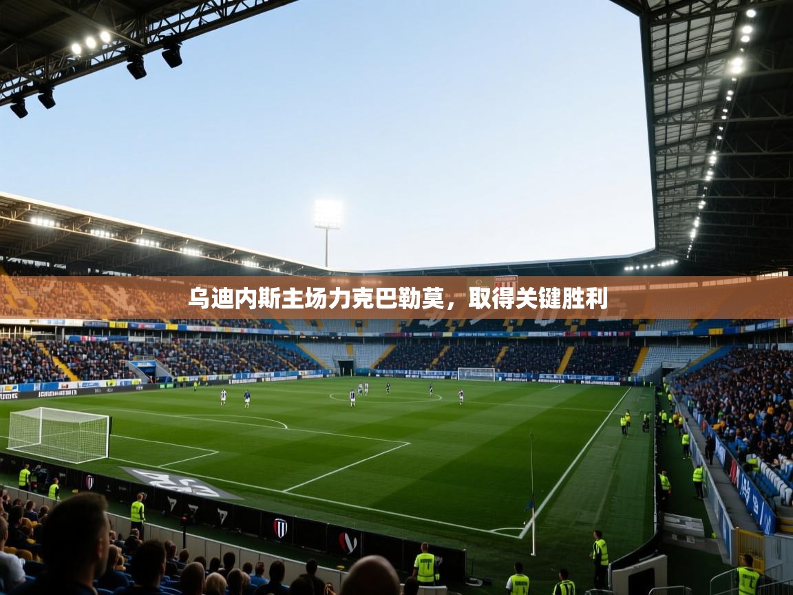 乌迪内斯主场力克巴勒莫，取得关键胜利