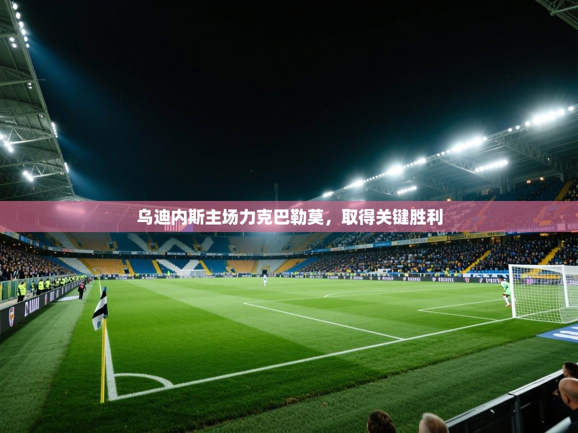 乌迪内斯主场力克巴勒莫，取得关键胜利  第2张