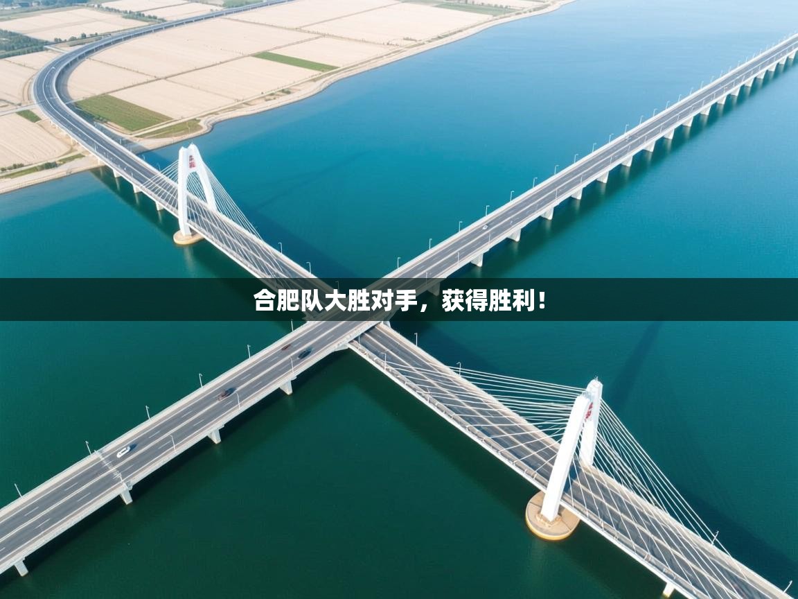 合肥队大胜对手，获得胜利！