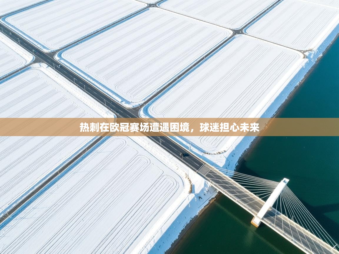 热刺在欧冠赛场遭遇困境，球迷担心未来