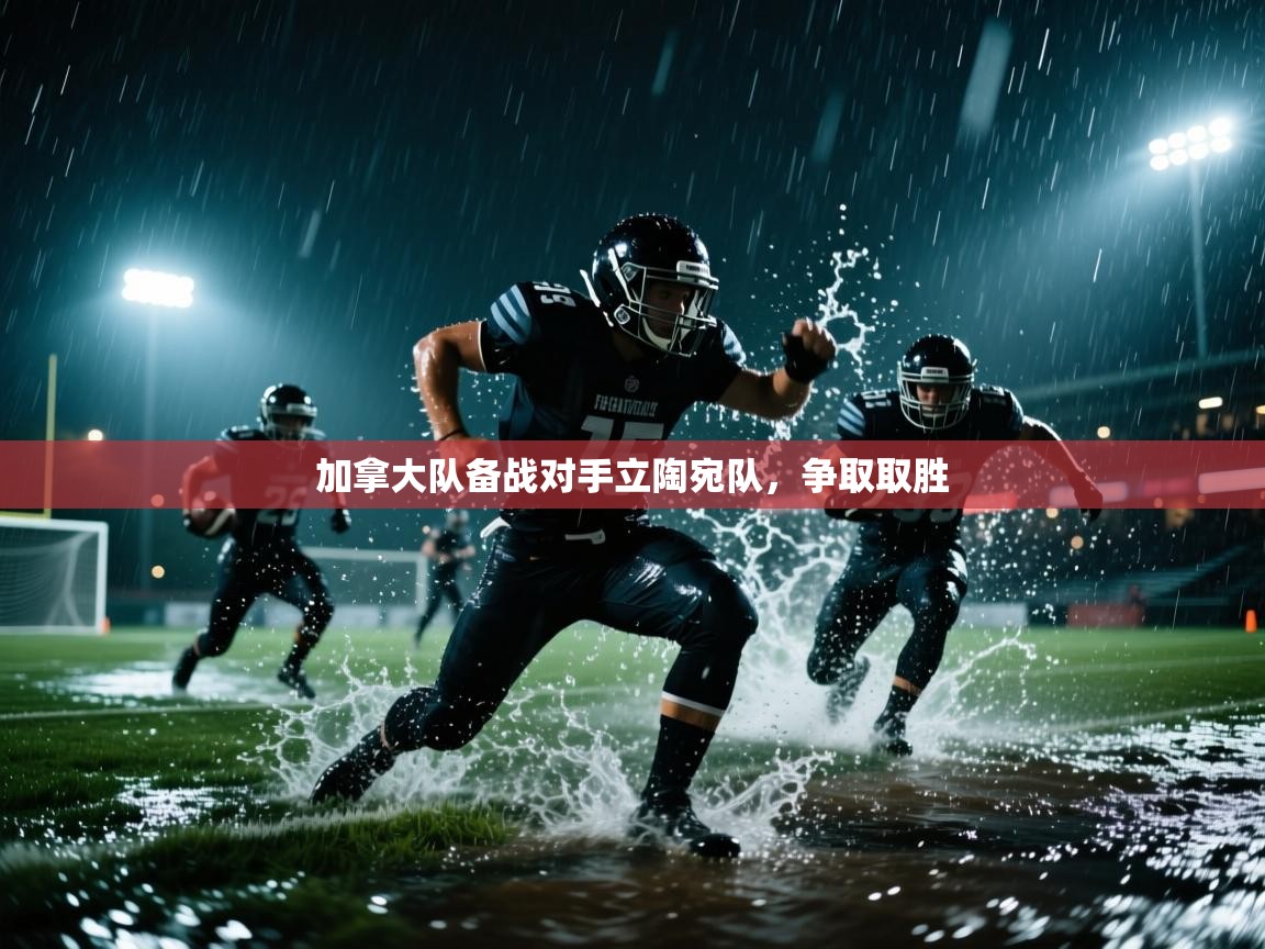 加拿大队备战对手立陶宛队，争取取胜  第1张