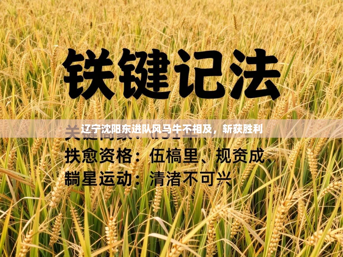 辽宁沈阳东进队风马牛不相及，斩获胜利  第1张